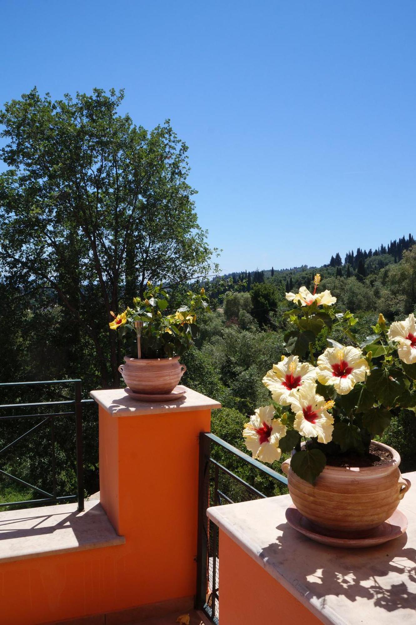 Starlight Seaview * Gouvia